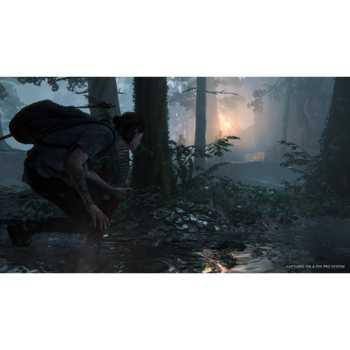 Одни из нас: Часть 2 (The Last of Us: Part 2)[Б.У ИГРЫ PLAYSTATION 4]